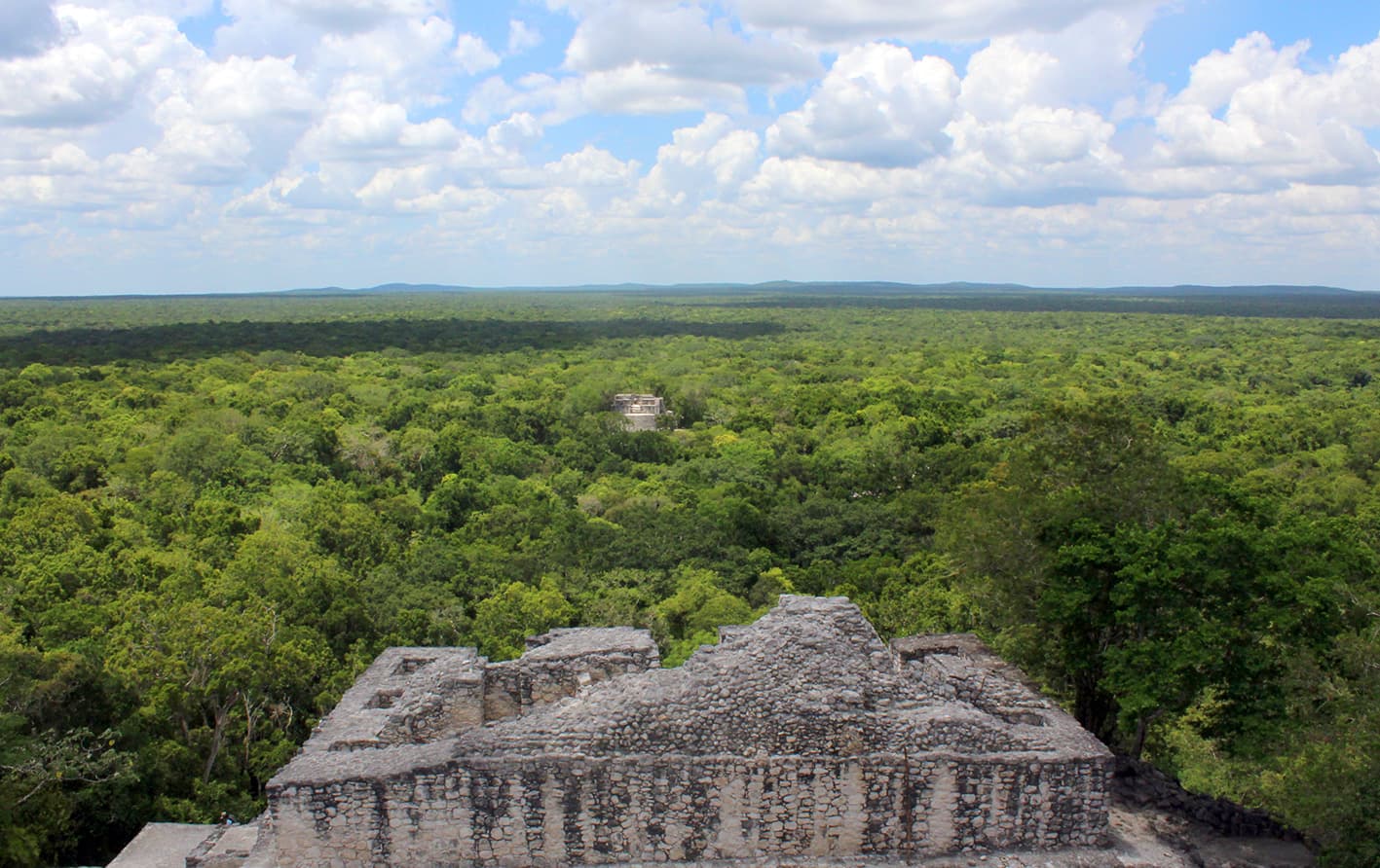 Sol, Arena y Biodiversidad: Un Viaje por las Playas y Reservas Naturales de Campeche