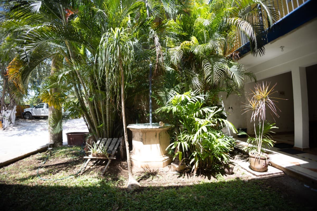 Hotel Nicte Ha imagen 7